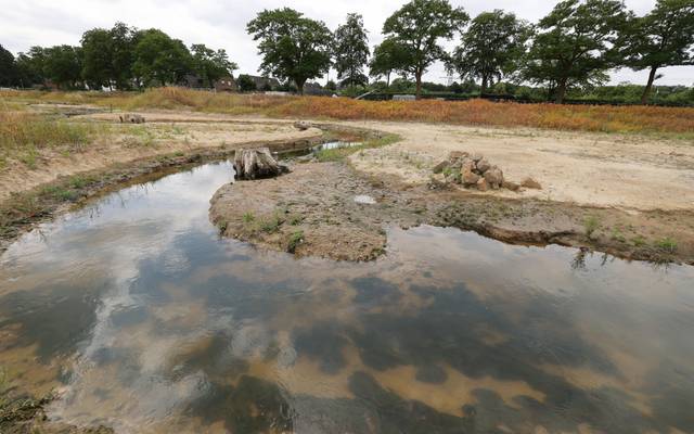 Die südliche Düssel in Vennhausen ist renaturiert worden. Im Hintergrund sieht man eine Wohnsiedlung.