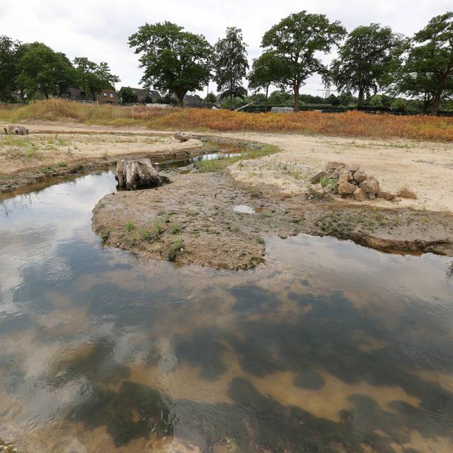 Die südliche Düssel in Vennhausen ist renaturiert worden. Im Hintergrund sieht man eine Wohnsiedlung.