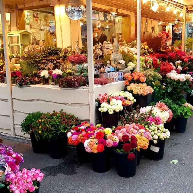 Ein Blumenhändler auf dem Carlsplatz präsentiert seine bunten Waren.