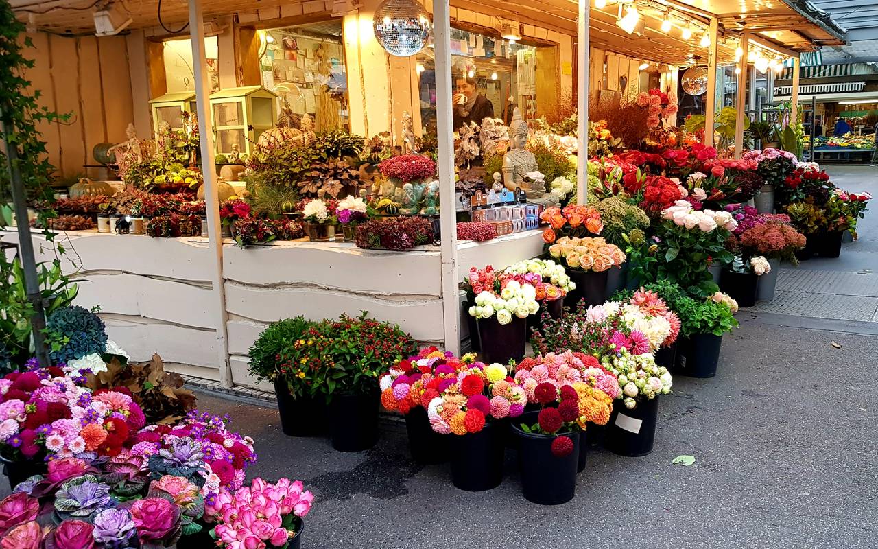 Ein Blumenhändler auf dem Carlsplatz präsentiert seine bunten Waren.
