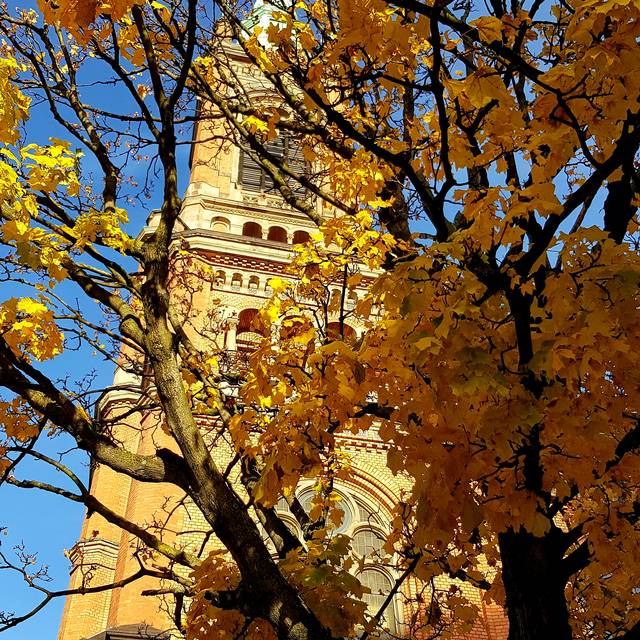 Die Johanneskirche in der Innenstadt im herbtlichen Licht. Herbstbäume runden das Bild ab.