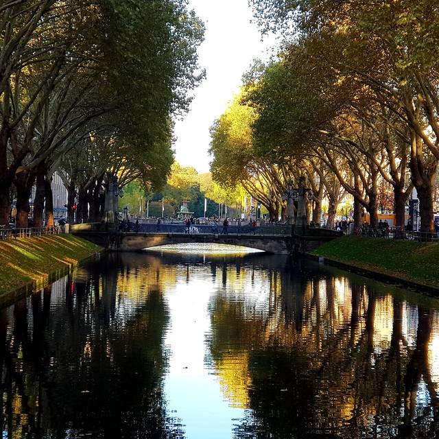 Der Kö-Graben im Herbst