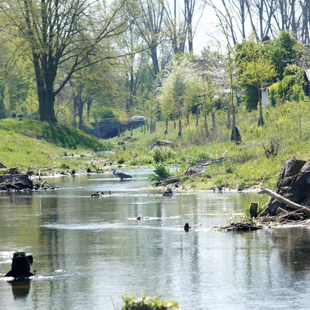 Eines der zehn Siegerfotos des Fotowettbewerbs Klimaanpassung von 2021: Bunte Tier- und Pflanzenwelt an der renaturierten Südlichen Düssel.