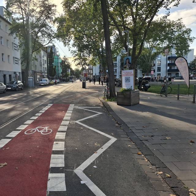 Ein roter Fahrradstreifen am rechten Straßenrand, rechts stehen Bäume, links sind parkende Autos und Häuser zu sehen.
