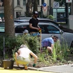 Mehrere Anwohnerinnen und Anwohner der Paulusstraße bepflanzen ein Beet um einen Baum herum. Im Hintergrund sind parkende Autos und die Straße sowie eine rote Ampel.