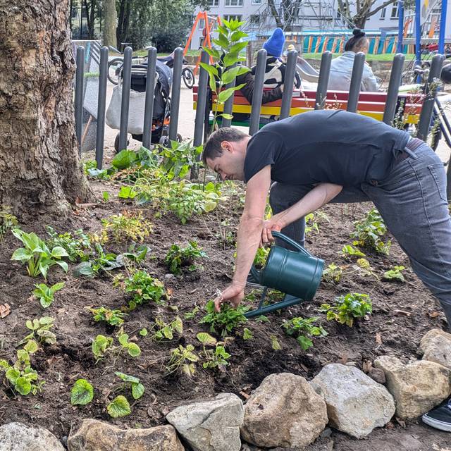 Die Nachbarschaftsinitiative "Hermann blüht auf" gestaltet den Hermannplatz in Flingern-Nord mit Baumscheibenbepflanzungen und Hochbeeten aus heimischen, insektenfreundlichen Pflanzen.