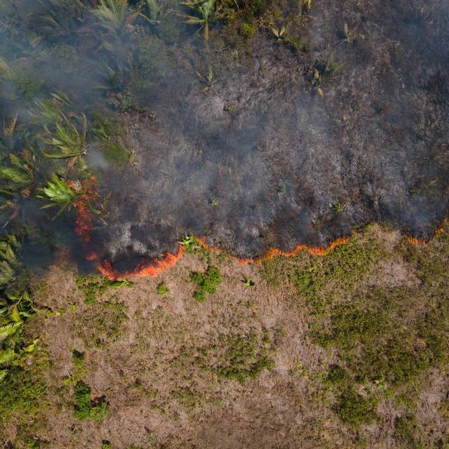 Feuer im Amazonas-Gebiet