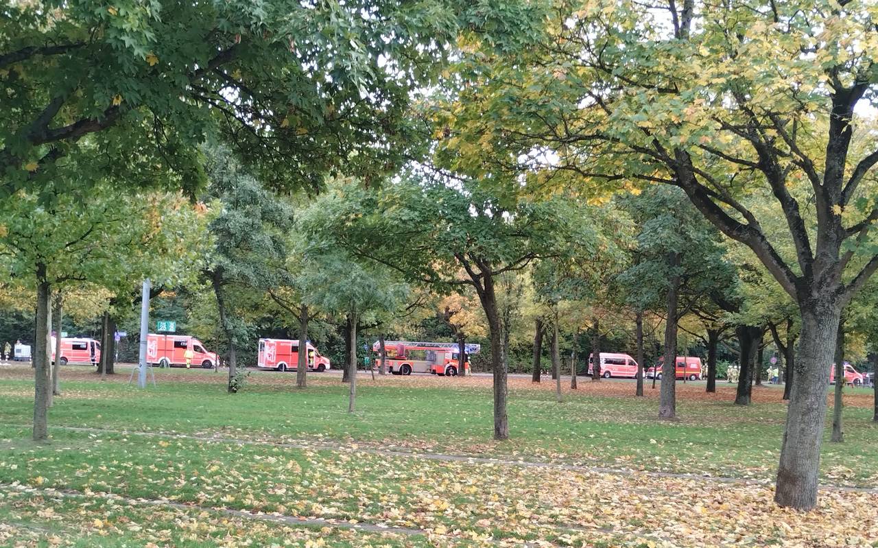 Mehrere Einsatzwagen der Feuerwehr stehen hinter einer Reihe von Bäumen.