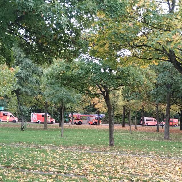 Mehrere Einsatzwagen der Feuerwehr stehen hinter einer Reihe von Bäumen.