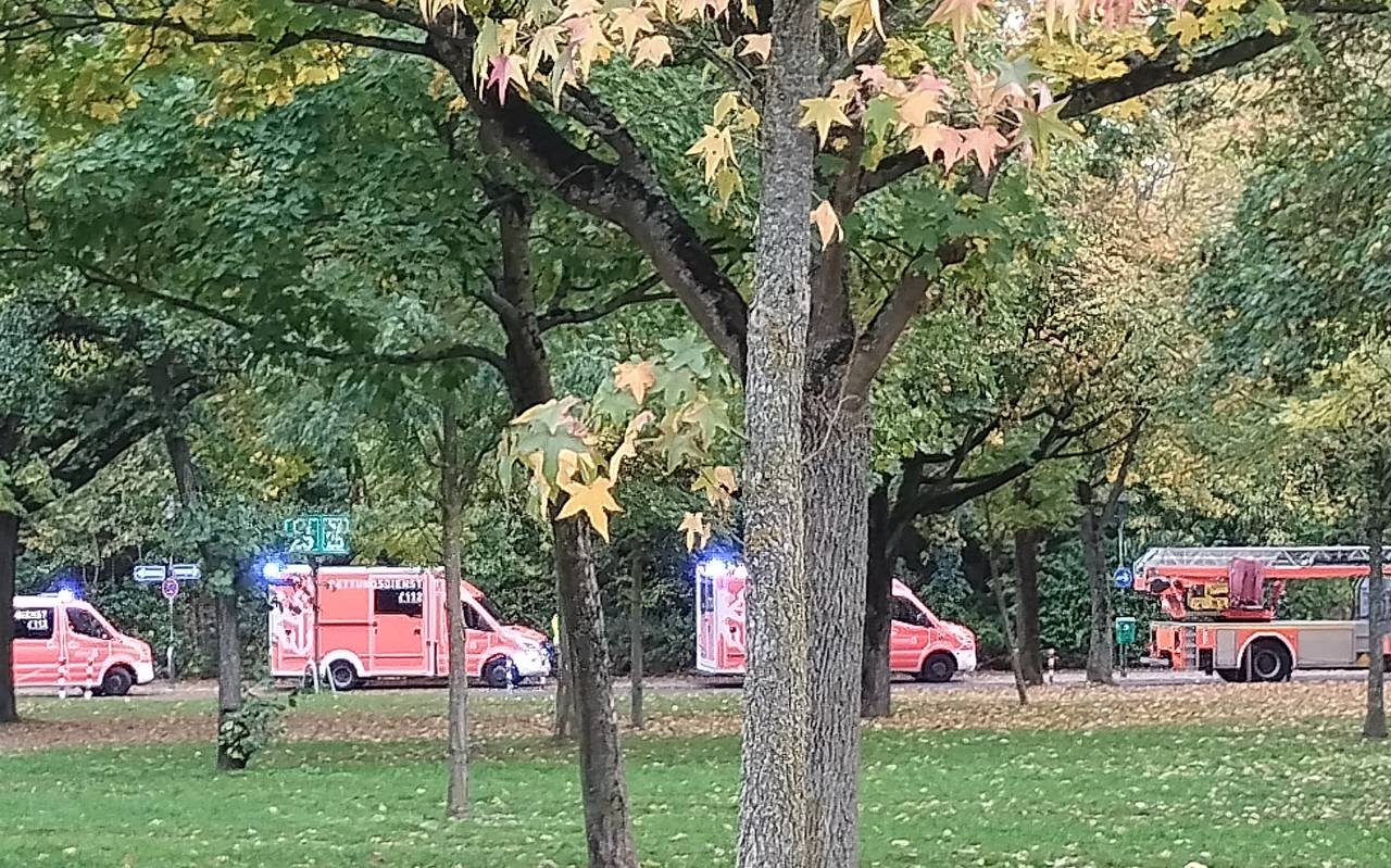 Mehrere Feuerwehrautos stehen in einer Reihe im Hintergrund, davor Bäume und eine Wiese.