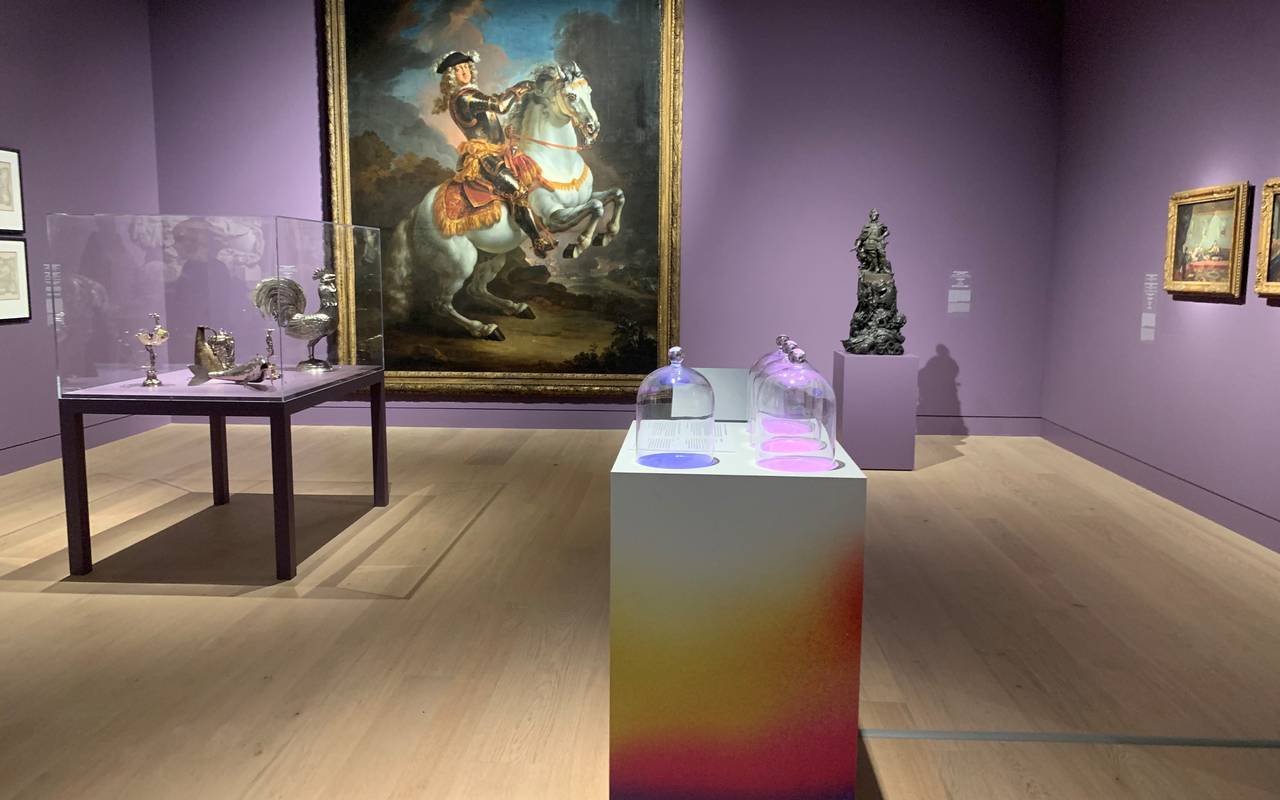 Ein Raum des Museum Kunstpalastes, in dem verschiedene Düfte unter Glashauben platziert sind.