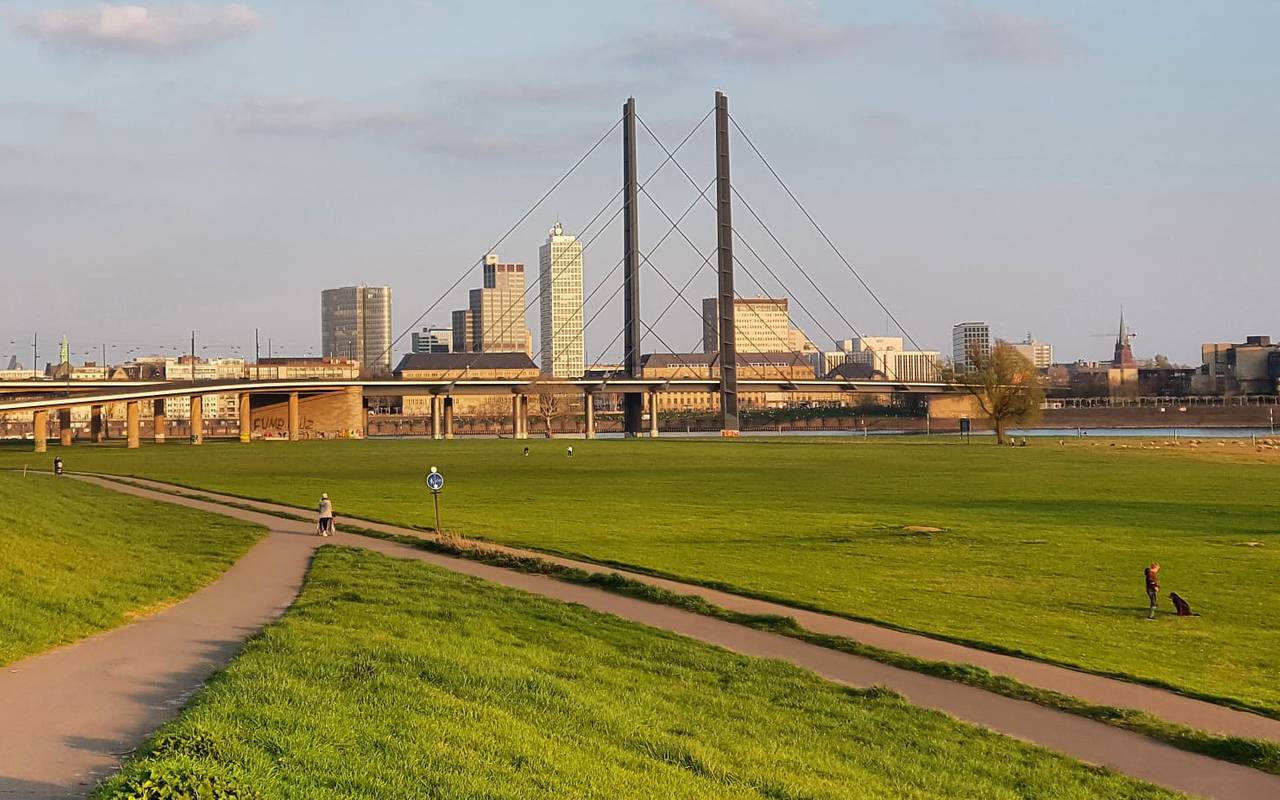 Ein Blick auf die Rheinkniebrücke von der Oberkasseler Seite aus.