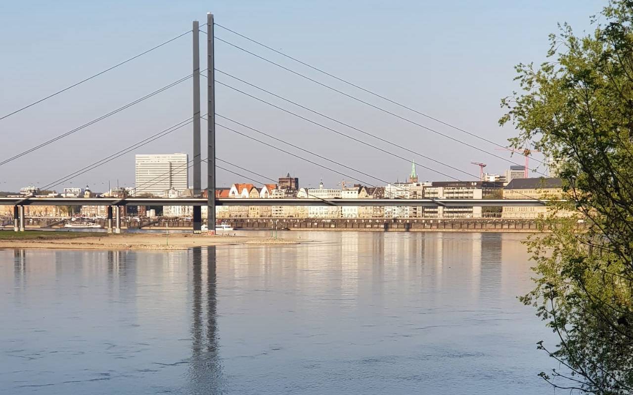 Ein Blick auf die Rheinkniebrücke. Im Vordergrund ist der Paradiesstrand zu erkennen.