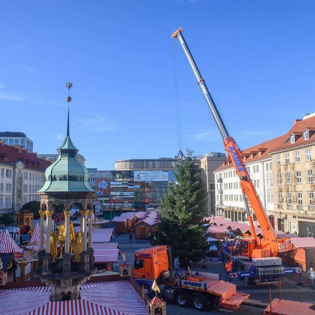Magdeburger Weihnachtsmarkt erhält vorerst keine Genehmigung
