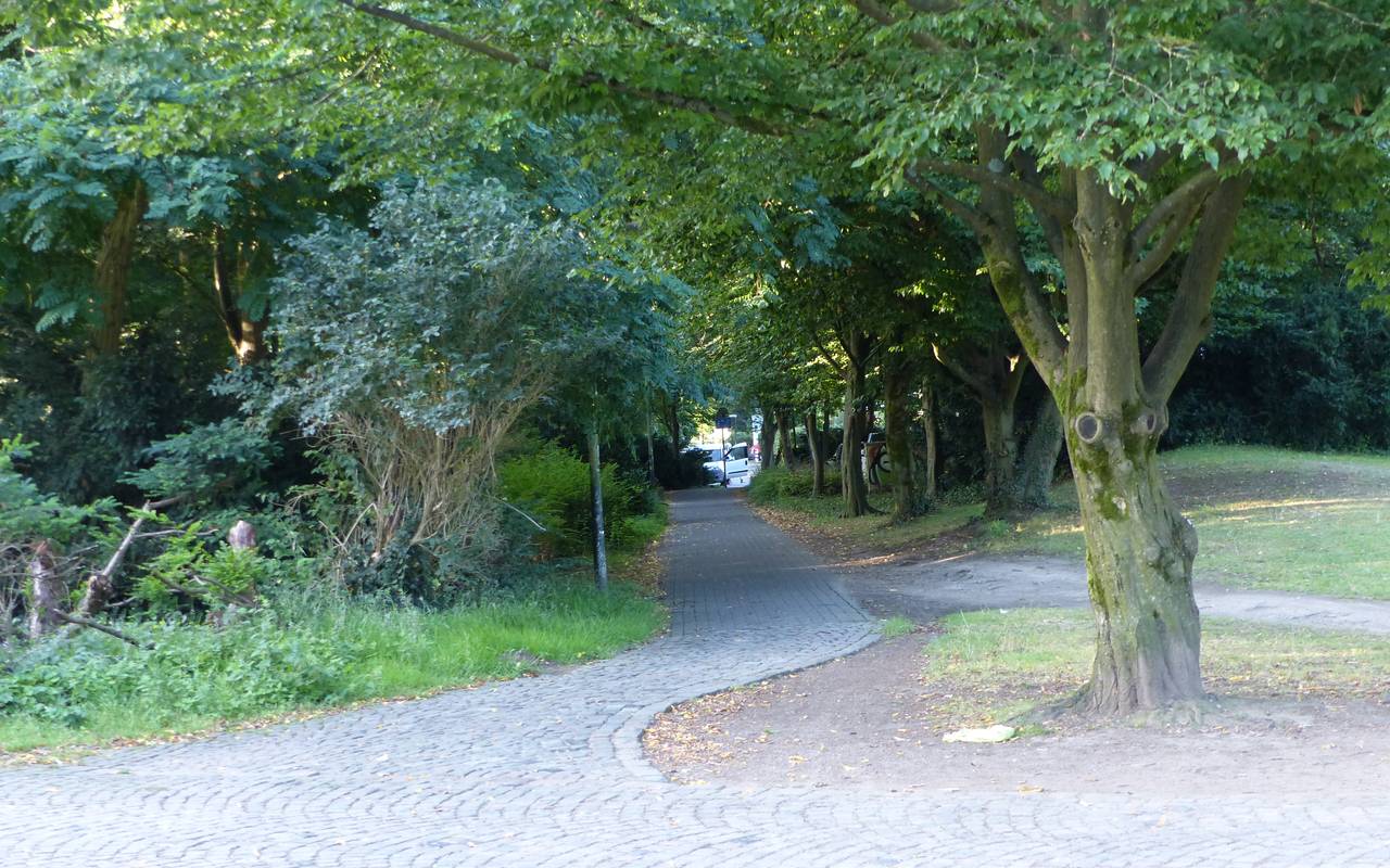 Zwischen Büschen führt ein mit Kopfstein gefplasterter Weg hindurch.