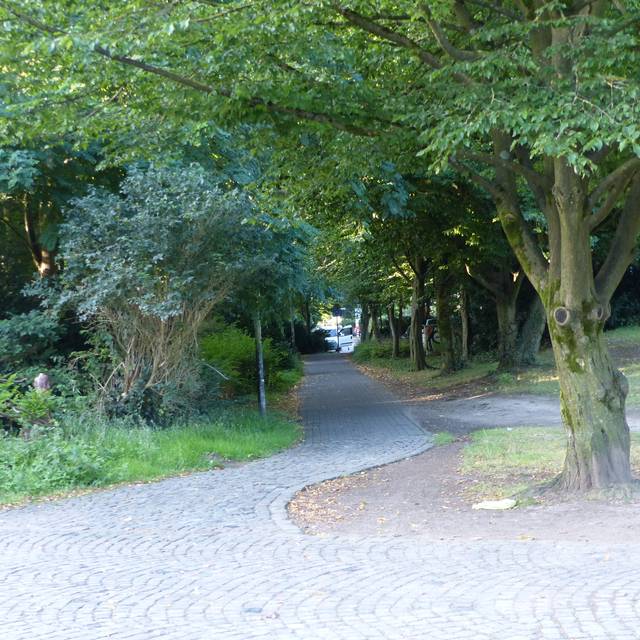 Zwischen Büschen führt ein mit Kopfstein gefplasterter Weg hindurch.