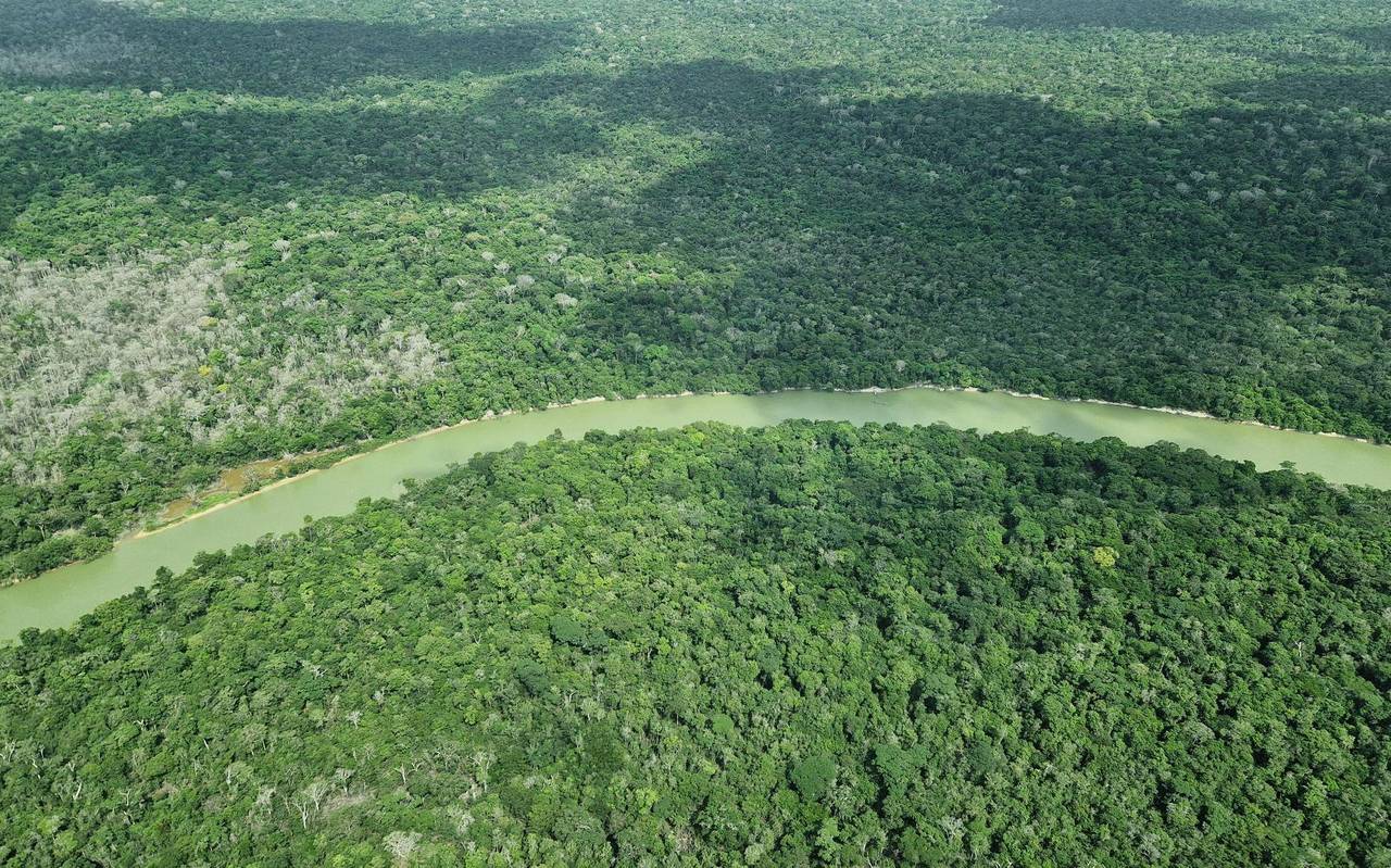 Überflug über das Amazonasgebiet