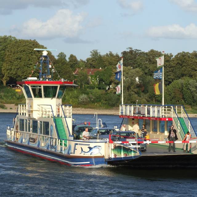 Die Rheinfähre zwischen Kaiserswerth und Meerbusch fährt über den Rhein.