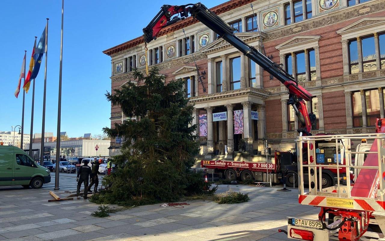Weihnachtsbaum vor dem Abgeordnetenhaus aufgestellt