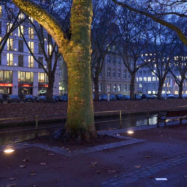Blick in der Abenddämmerung von der Geschäftsseite der Kö aus über den Kö-Graben. Die Bäume und Gebäude werden von neuen Bodenleuchten angestrahlt.
