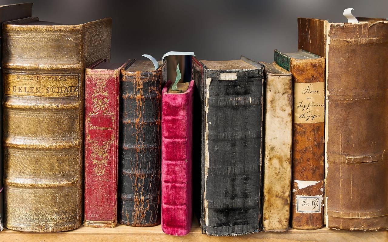 Recht alt auschauende Bücher in einem Buchregal.