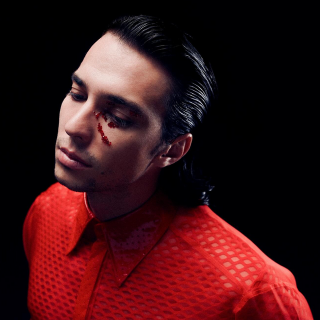 Franz BIBIZA aus Wien und sein aktuelles Plattencover BIS EINER WEINT