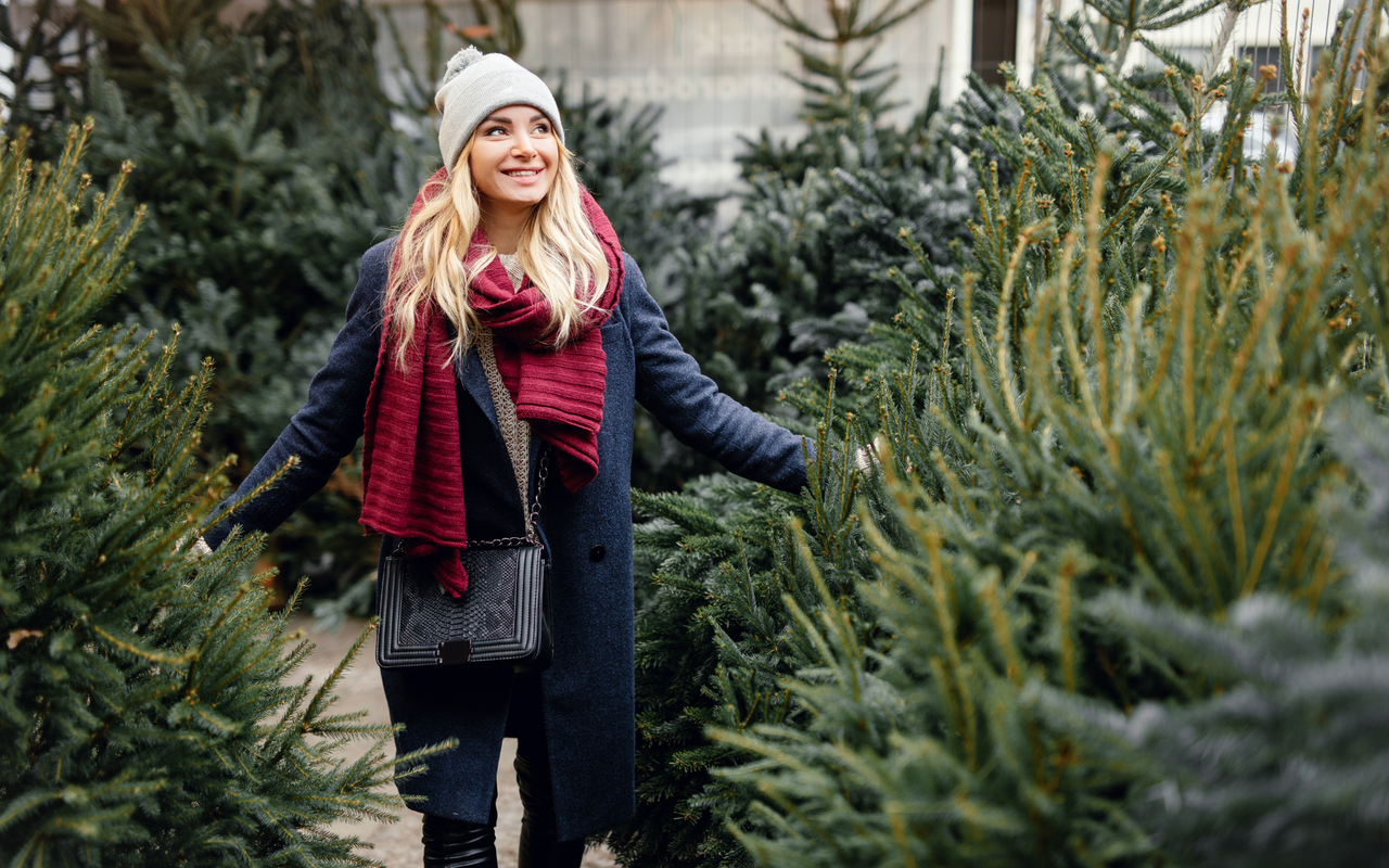 Weihnachtsbaum: Lieber echt oder doch besser künstlich?