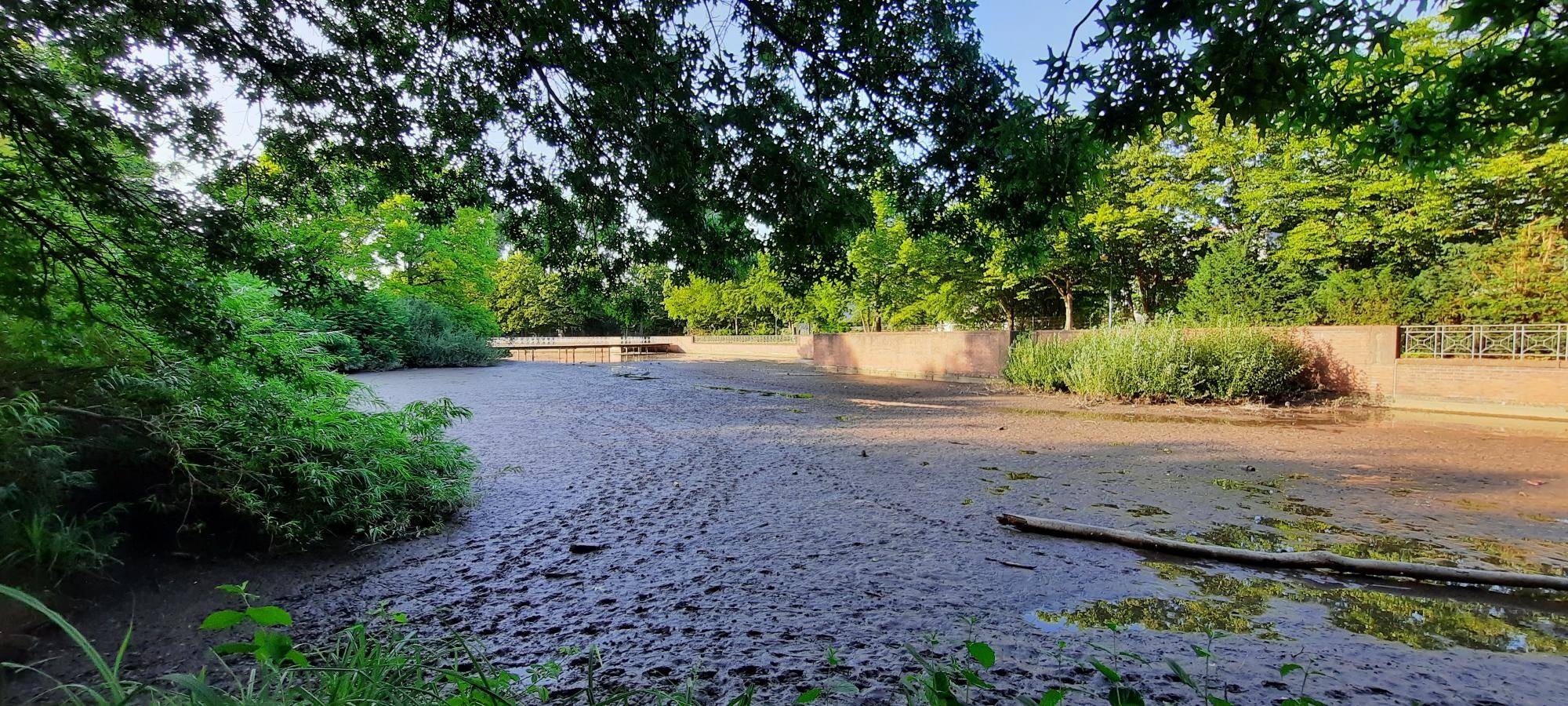 Hochwasserschutz Grund für wenig Wasser in der Düssel