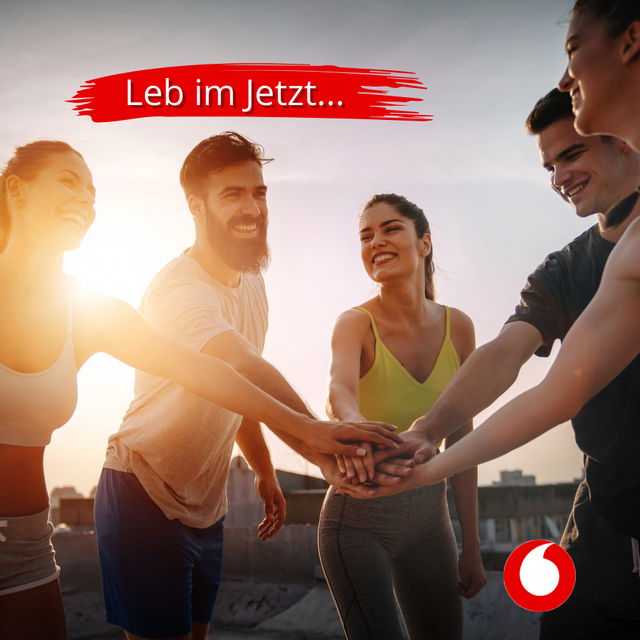 Gruppe fitter, gesunder Menschen/Freunde, die gemeinsam im Freien trainieren.