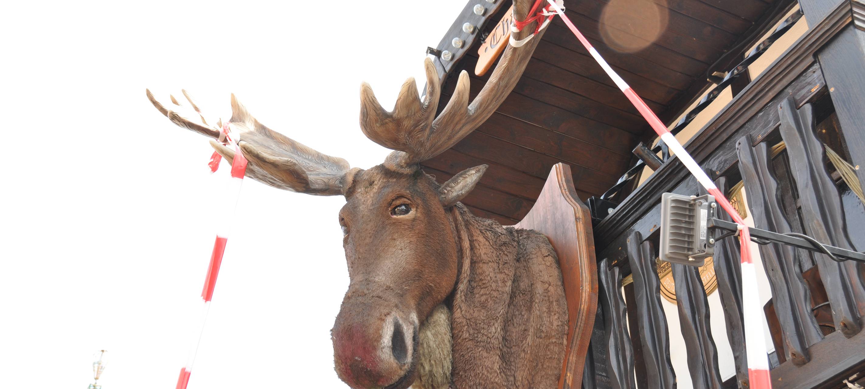 Größte Kirmes am Rhein 2019