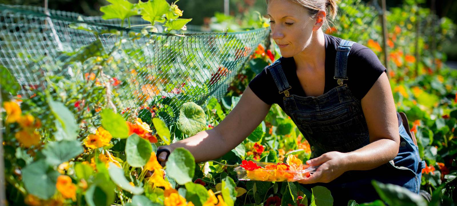 Molly in einem Blumenbeet