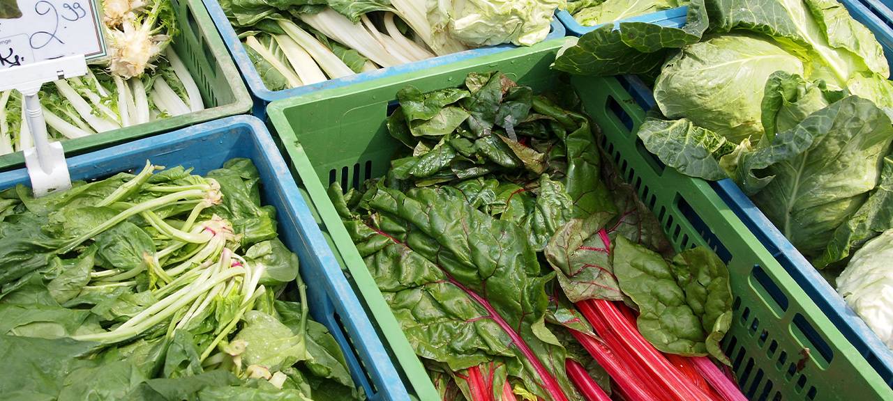 Düsseldorf: Juristischer Streit um den Großmarkt