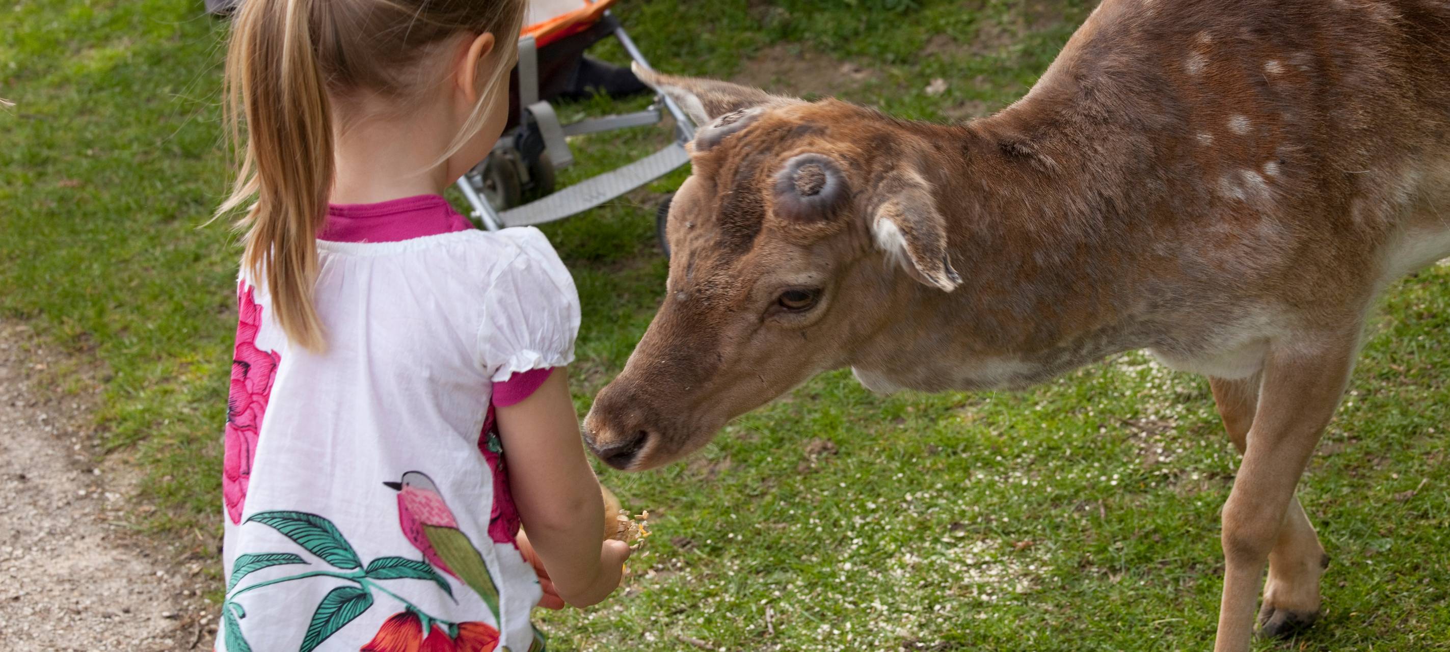 Wildpark bleibt Sonntag und Montag geschlossen