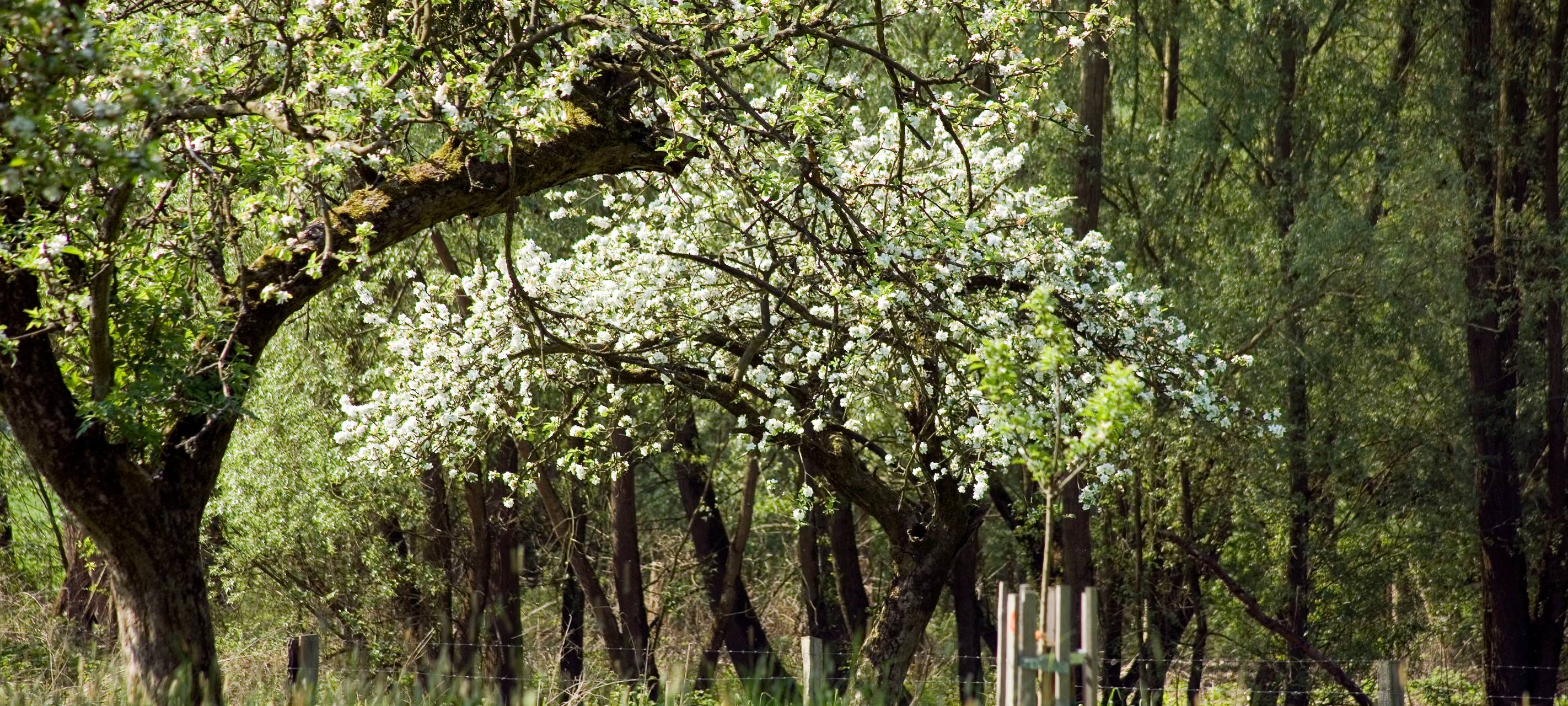 Düsseldorfer missachten teilweise Naturschutzregeln