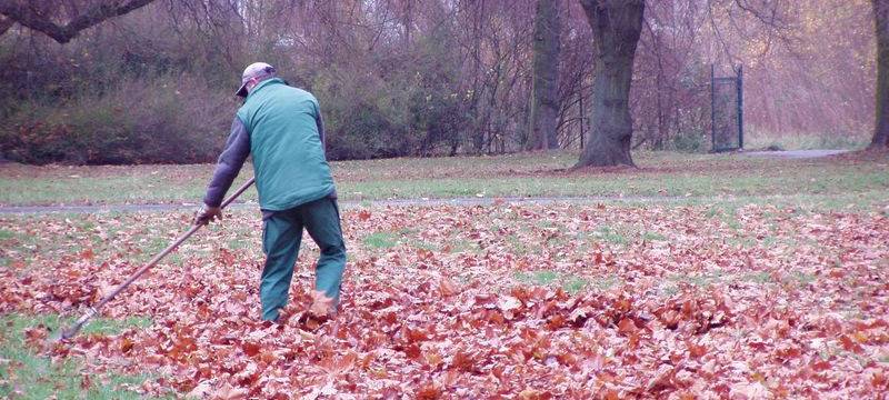 Düsseldorfer Parks werden winterfest gemacht
