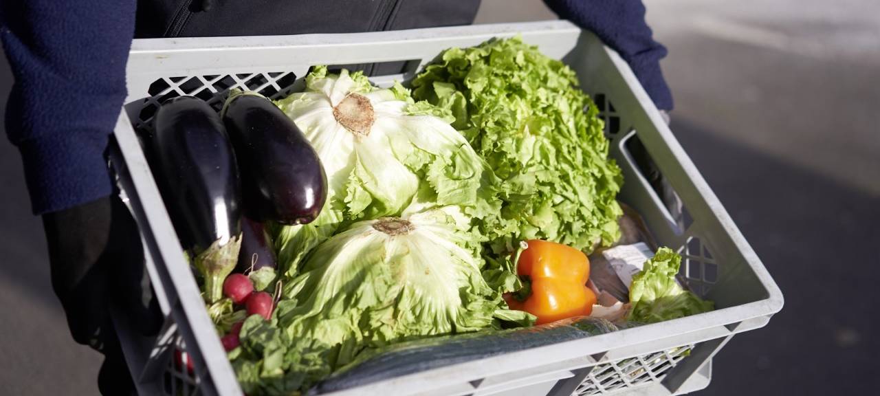 Spendenaktion für Düsseldorfer Tafel: Eine Person hält einen Korb mit Lebensmitteln in der Hand. Darunter ist auch viel Gemüse.