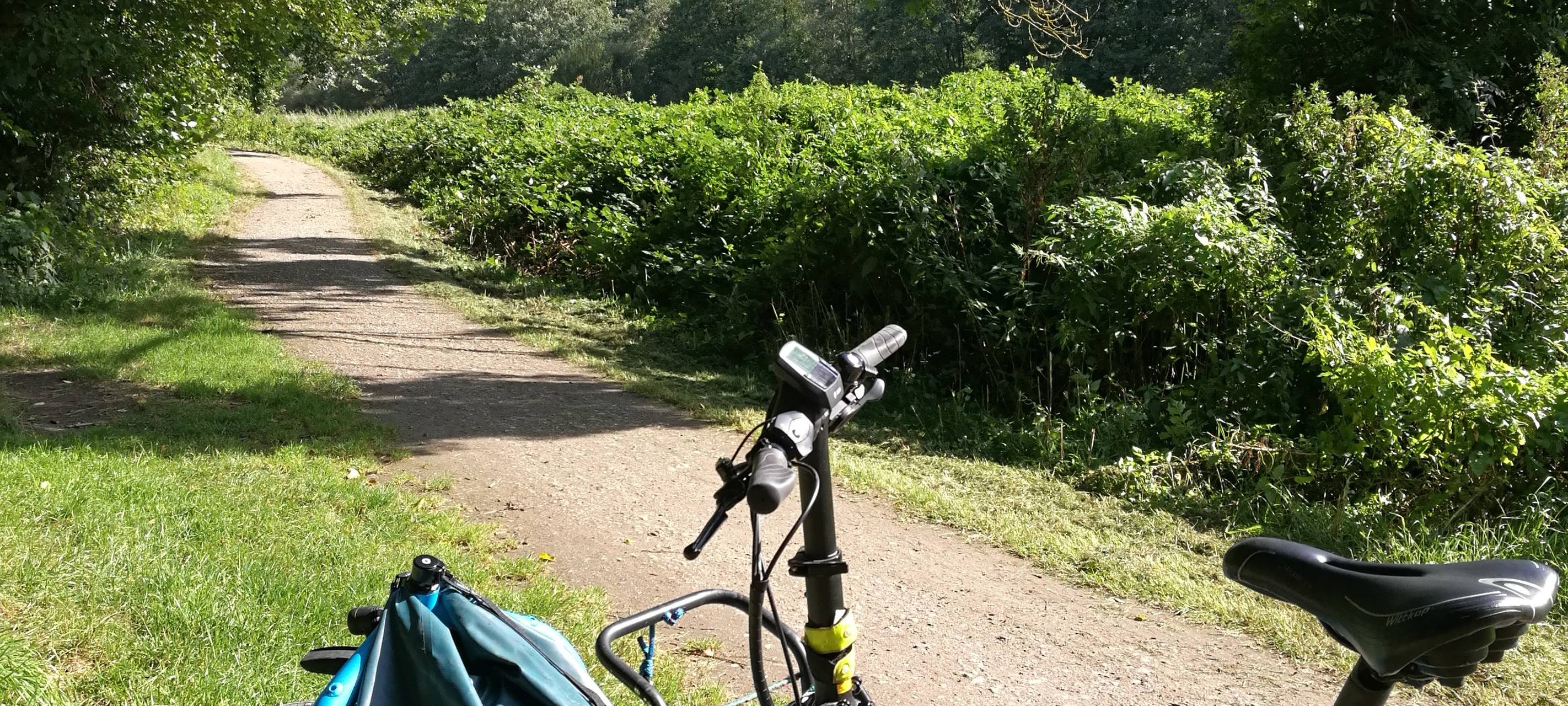 Lastenradboom in Düsseldorf - ein Feature
