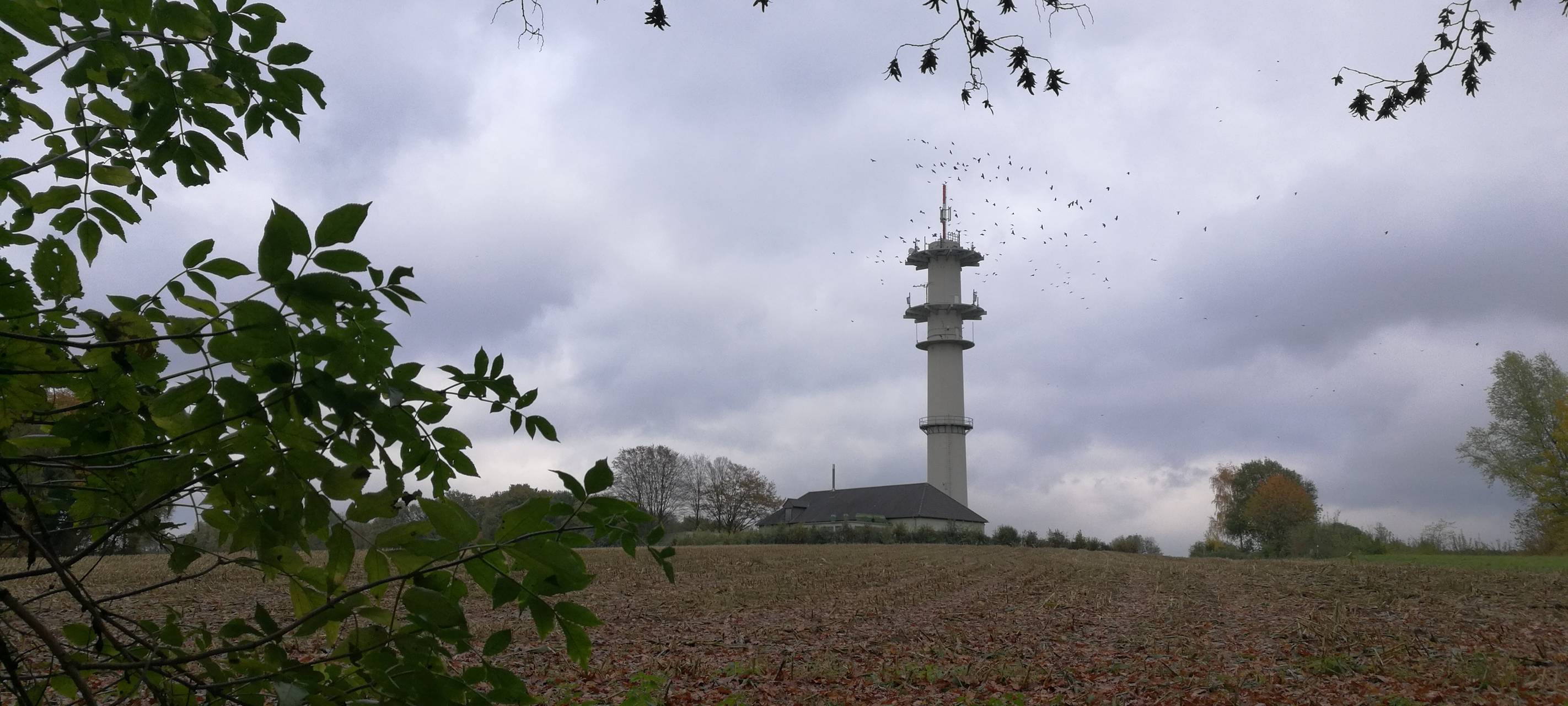 Düsseldorf: Wartungsarbeiten am Sendemast