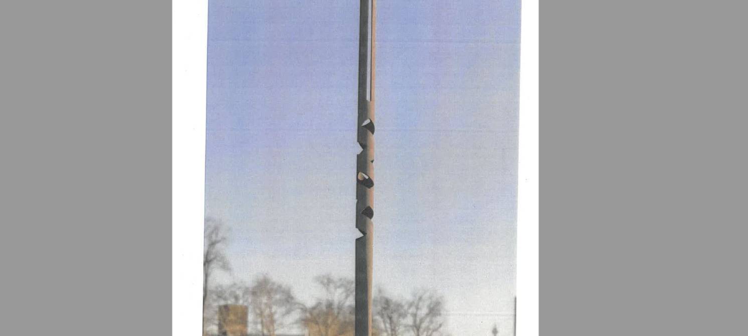 Stadtrat: Mehrheit für ein Einheitsdenkmal