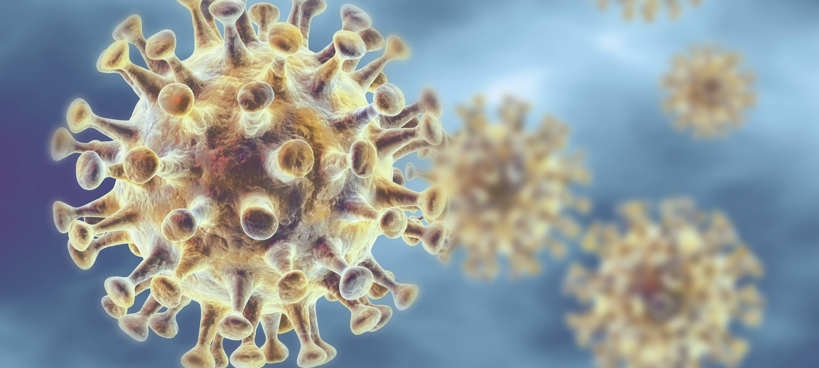 Coronavirus: Was hat noch auf und was bleibt zu?