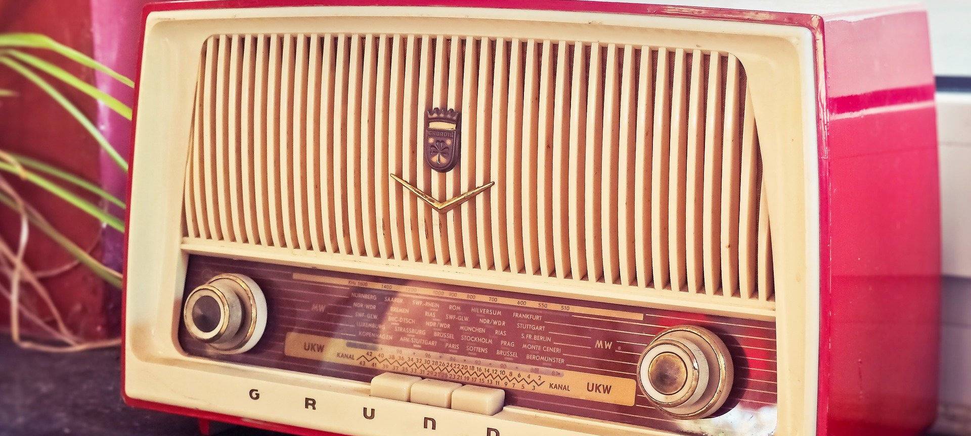 Konzert von Brings live bei uns im Radio!