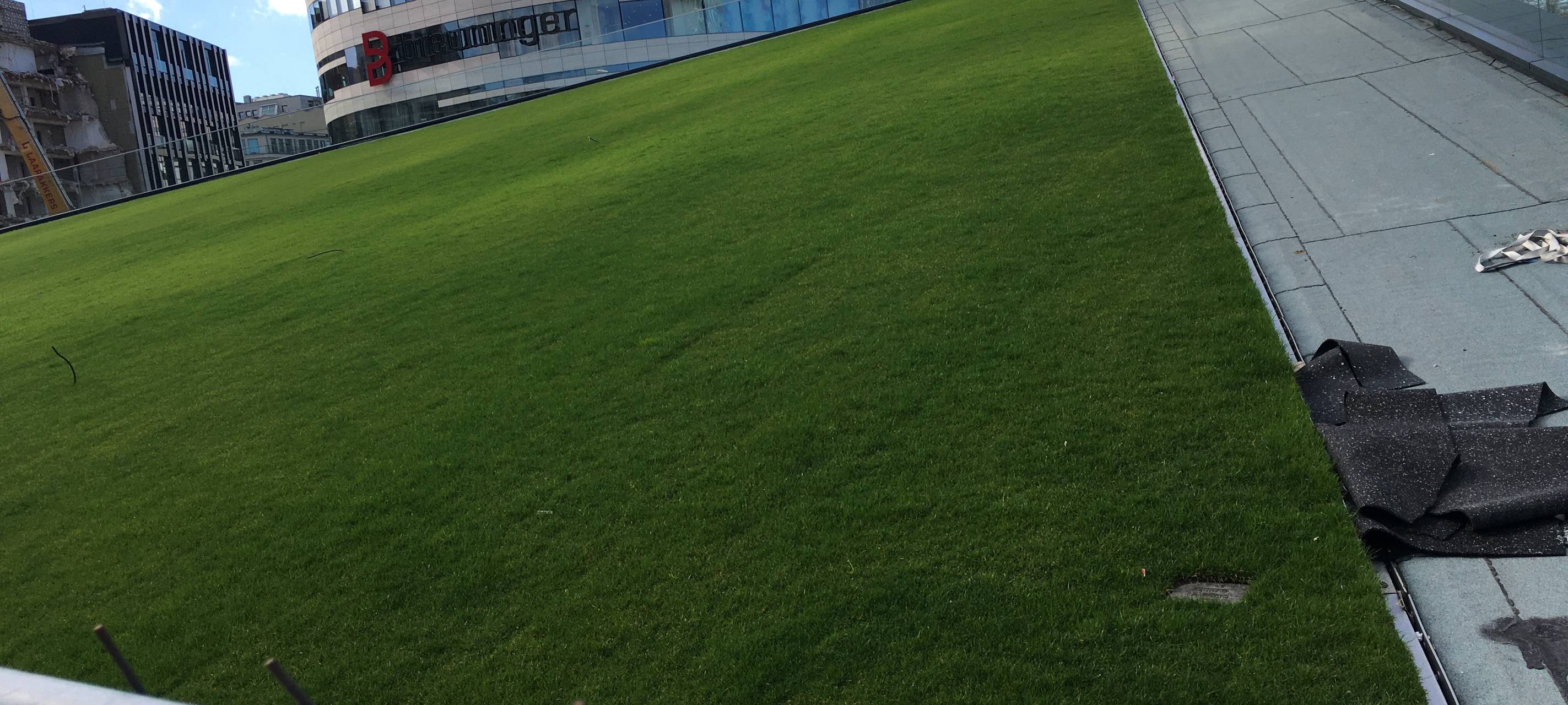 Düsseldorf:Rasenfläche am Kö-Bogen II gesperrt