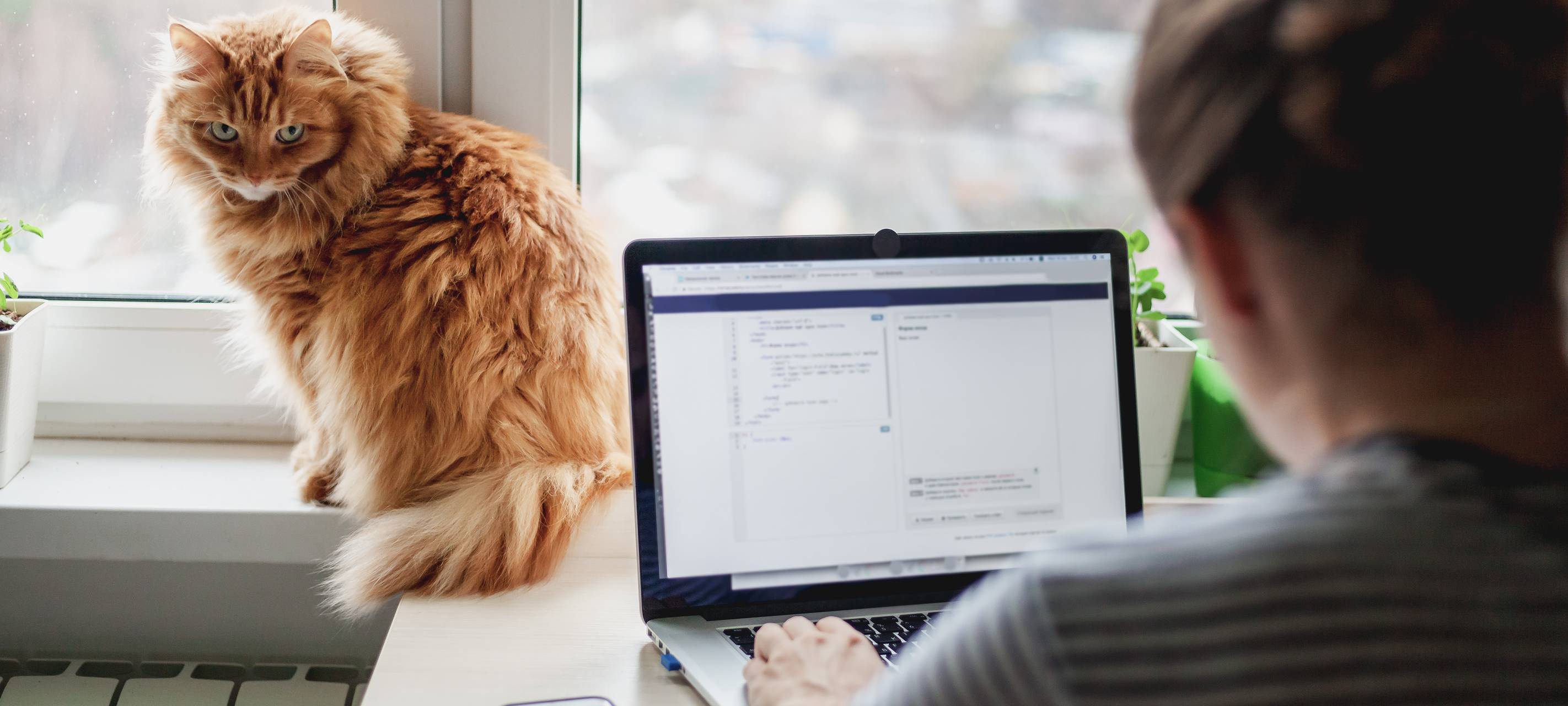 Im Home-Office lieber an den Laptop