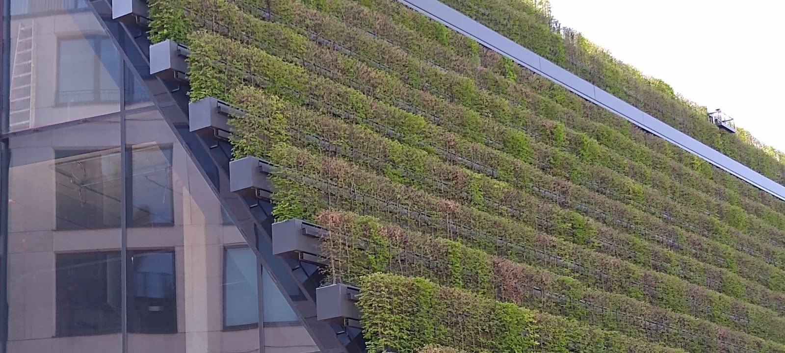 Düsseldorf: Centrum-Gruppe hat finanzielle Schwierigkeiten