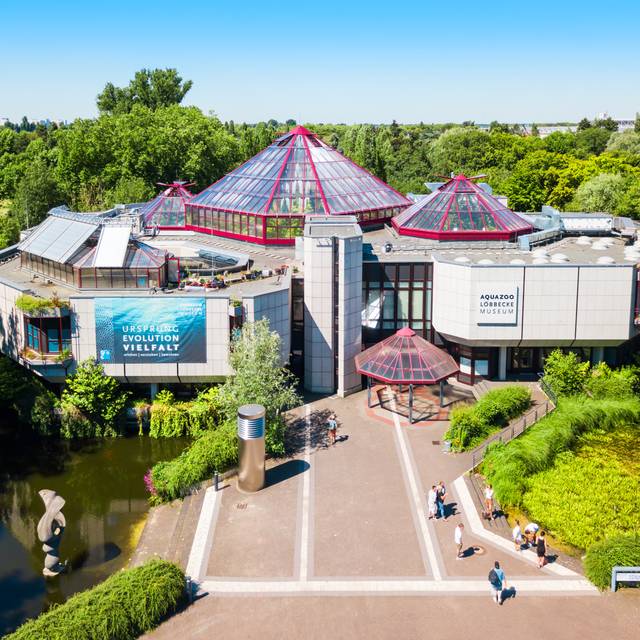 Wieder Fuhrungen Im Aquazoo Antenne Dusseldorf Wieder Fuhrungen Im Aquazoo Antenne Dusseldorf