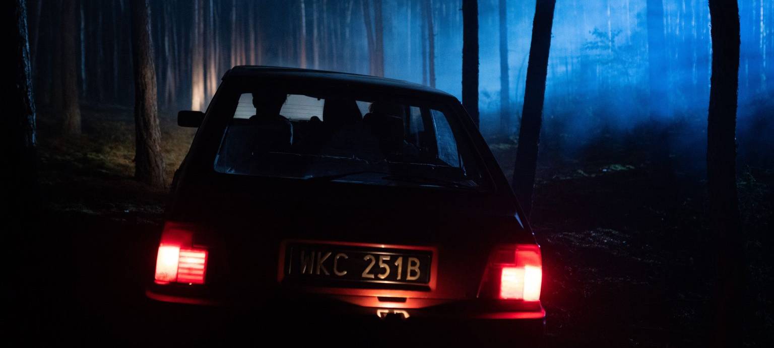 Der dunkle Wald in dem alles geschah.