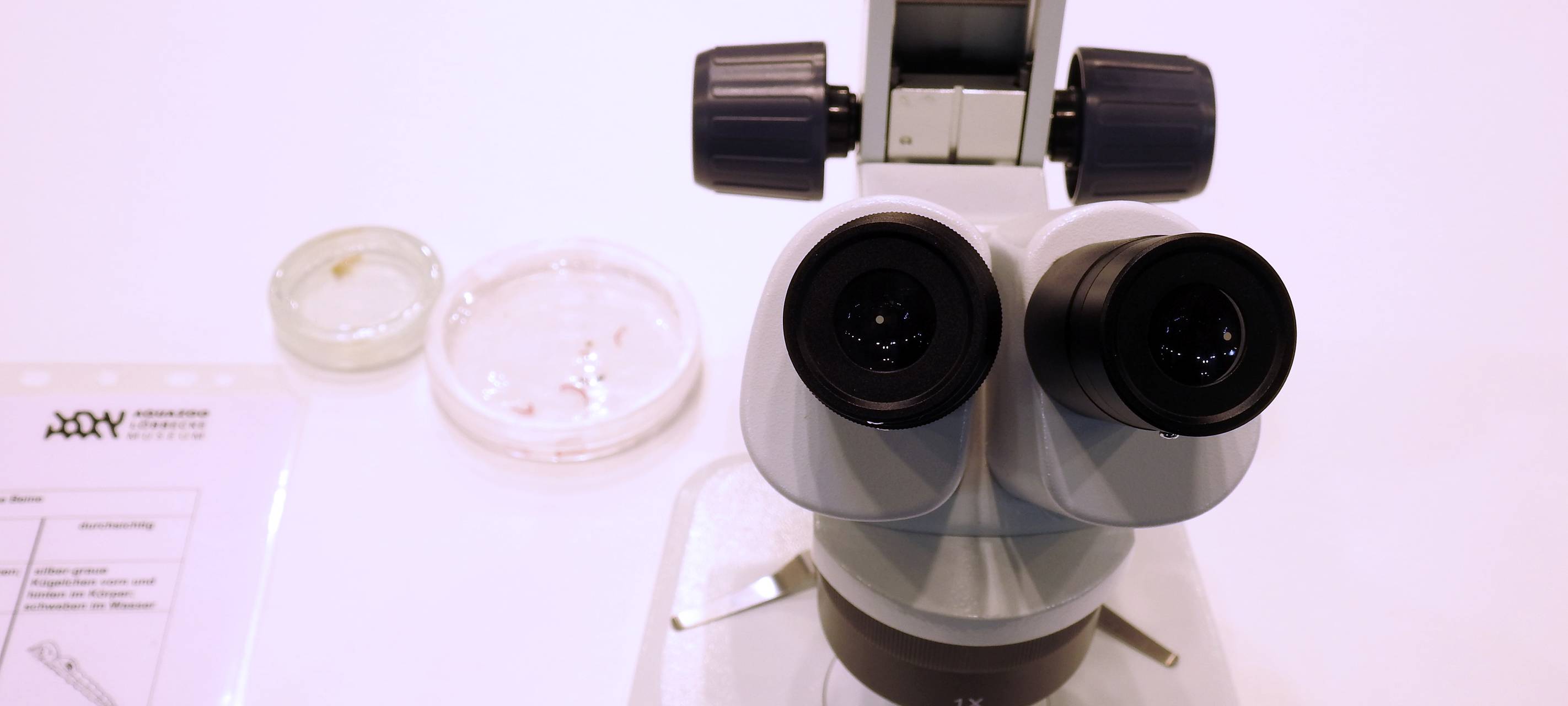 Düsseldorfer Nacht der Museen wird verschoben