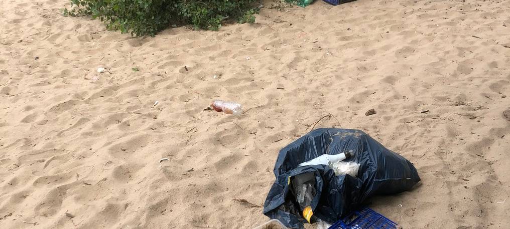 Heute ist Rhine Clean Up