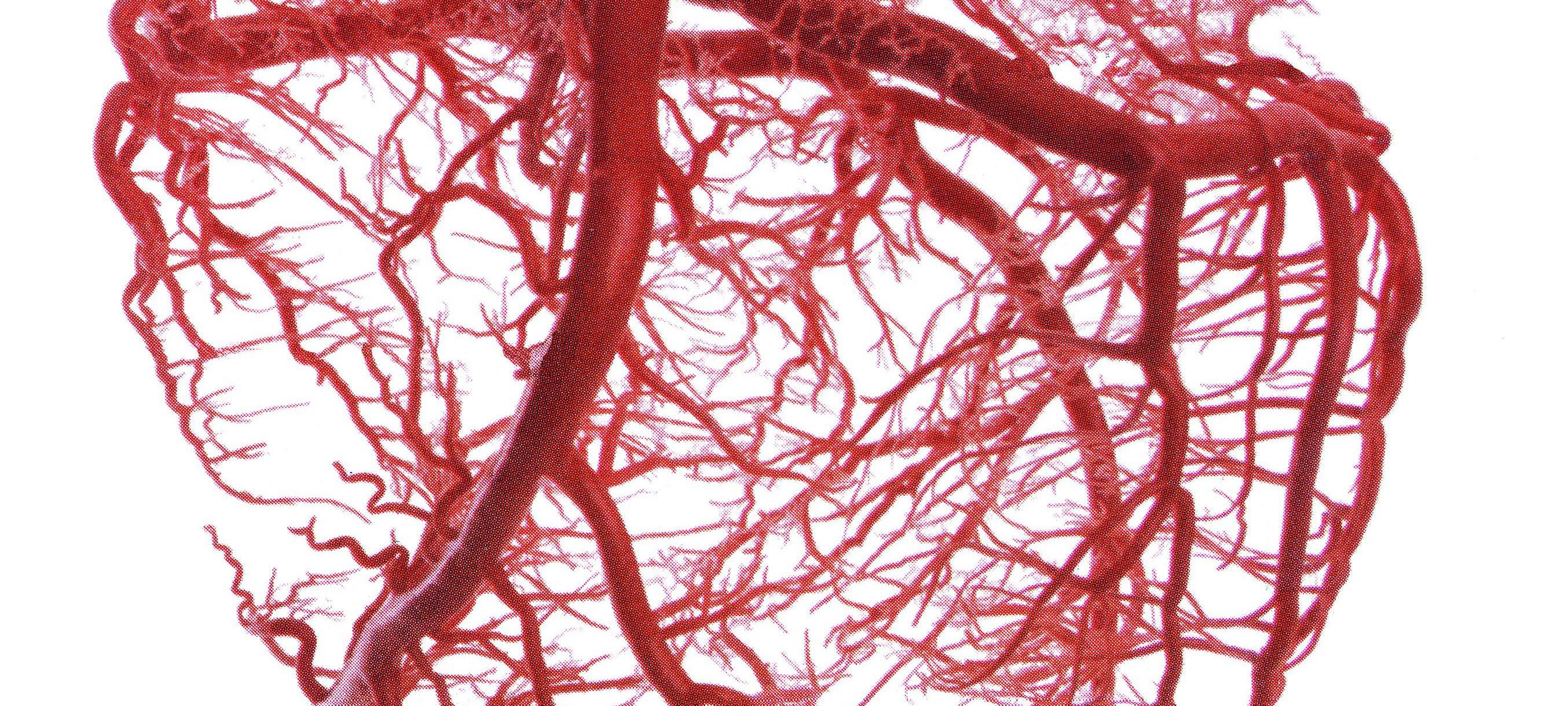 Uni-Klinik Düsseldorf: Schon über 200 Herztransplantation