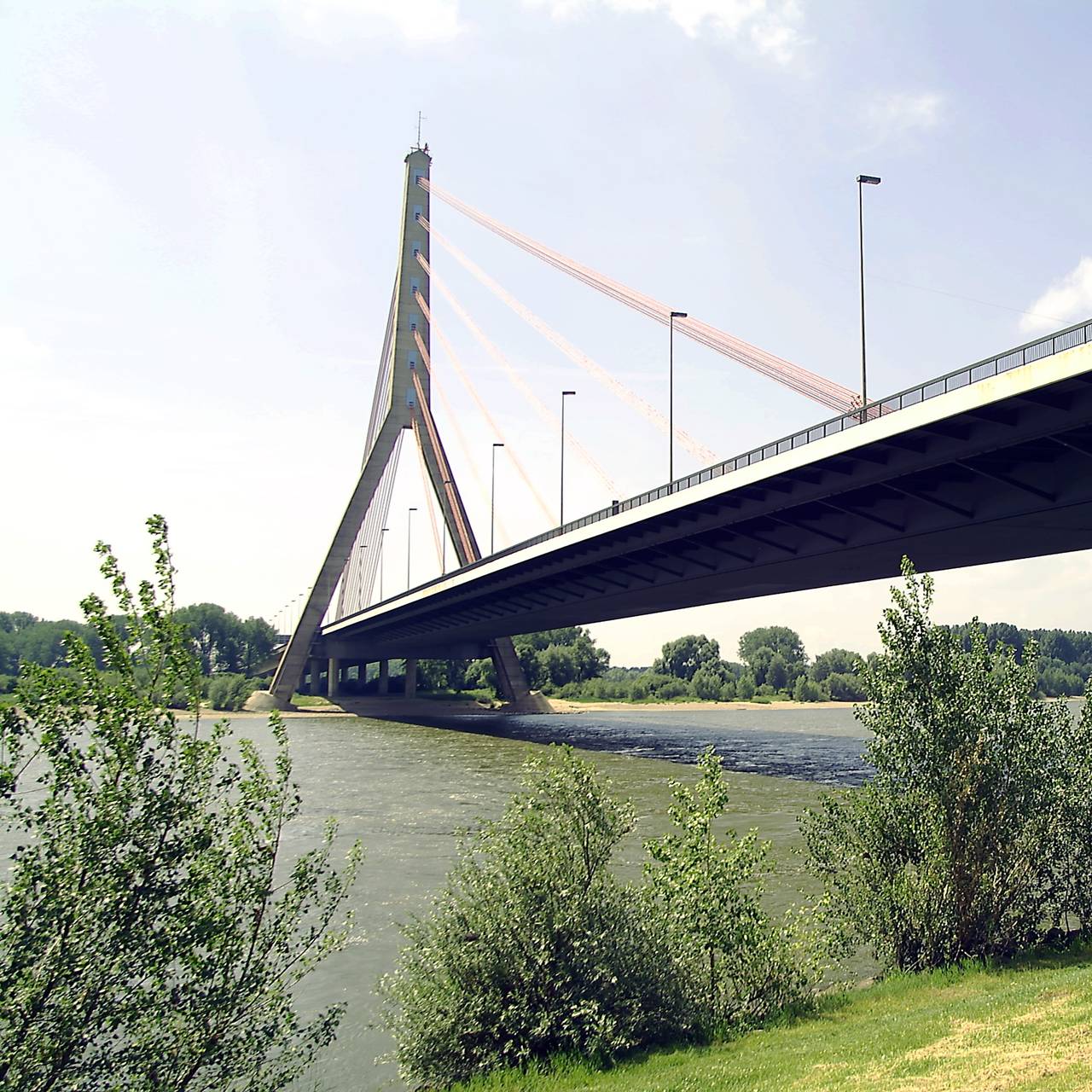 Die Fleher Brücke von unten fotografiert. Davor sind Teile vom Deich und dem Rhein zu sehen. Am Rhein sind grüne Sträucher.